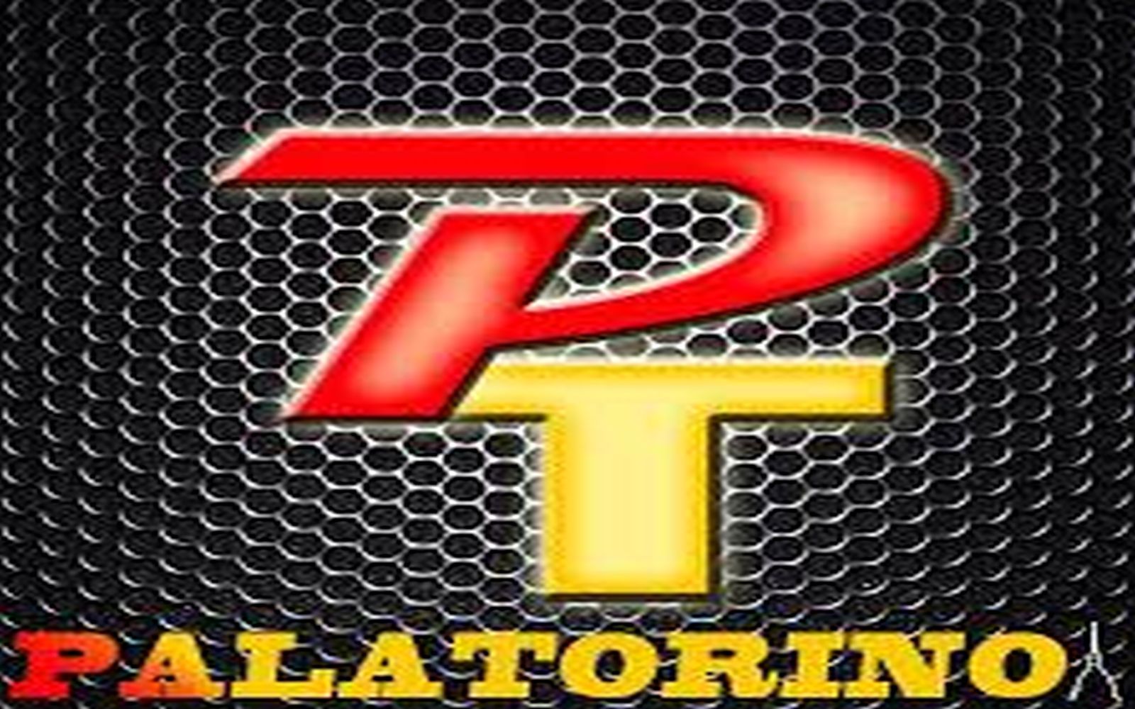 PalaTorina Live