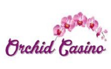 Orchid